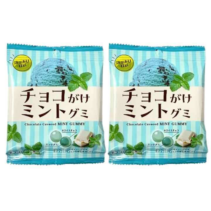 即日発送2点セット【チョコミント】チョコがけミントグミ　食品・飲料・酒食品菓子 シャインマスカット..