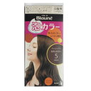花王 ブローネ 泡カラー 5 ブラウン※パッケージに若干の傷みあり (1個まで定形外郵便可 送料450円)
