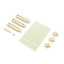 【並行輸入品】Fender STRATOCASTER ACCESSORY KITS Aged White 0991368000 アクセサリーキット