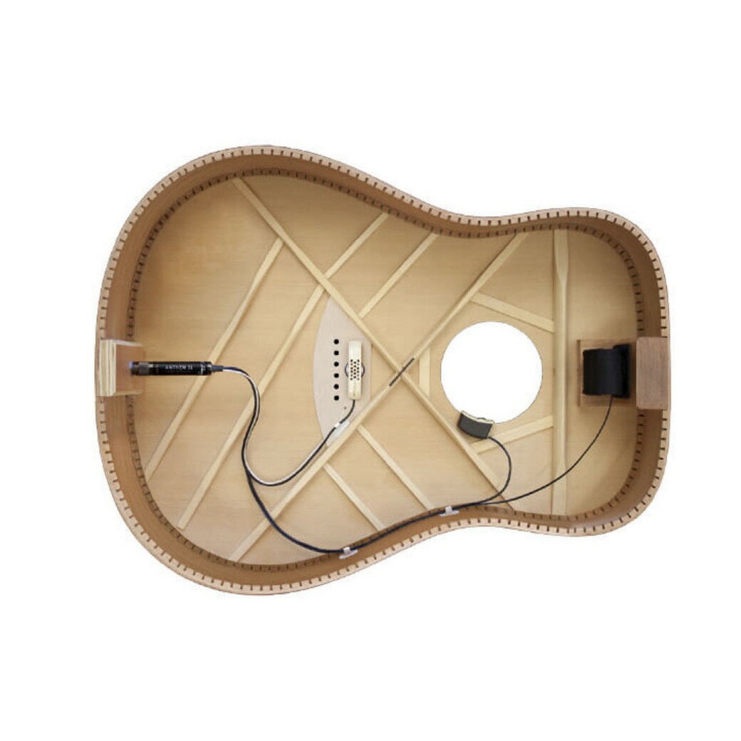 L.R.Baggs ピックアップ Anthem SL 2