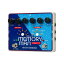 【並行輸入品】Electro Harmonix Deluxe Memory Man 1100-TT