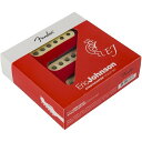 【並行輸入品】Fender Eric Johnson Stratocaster Pickup Set