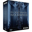 【並行輸入品】EASTWEST Hollywood Orchestral Woodwinds Diamond Edition (Mac版) EW-205M