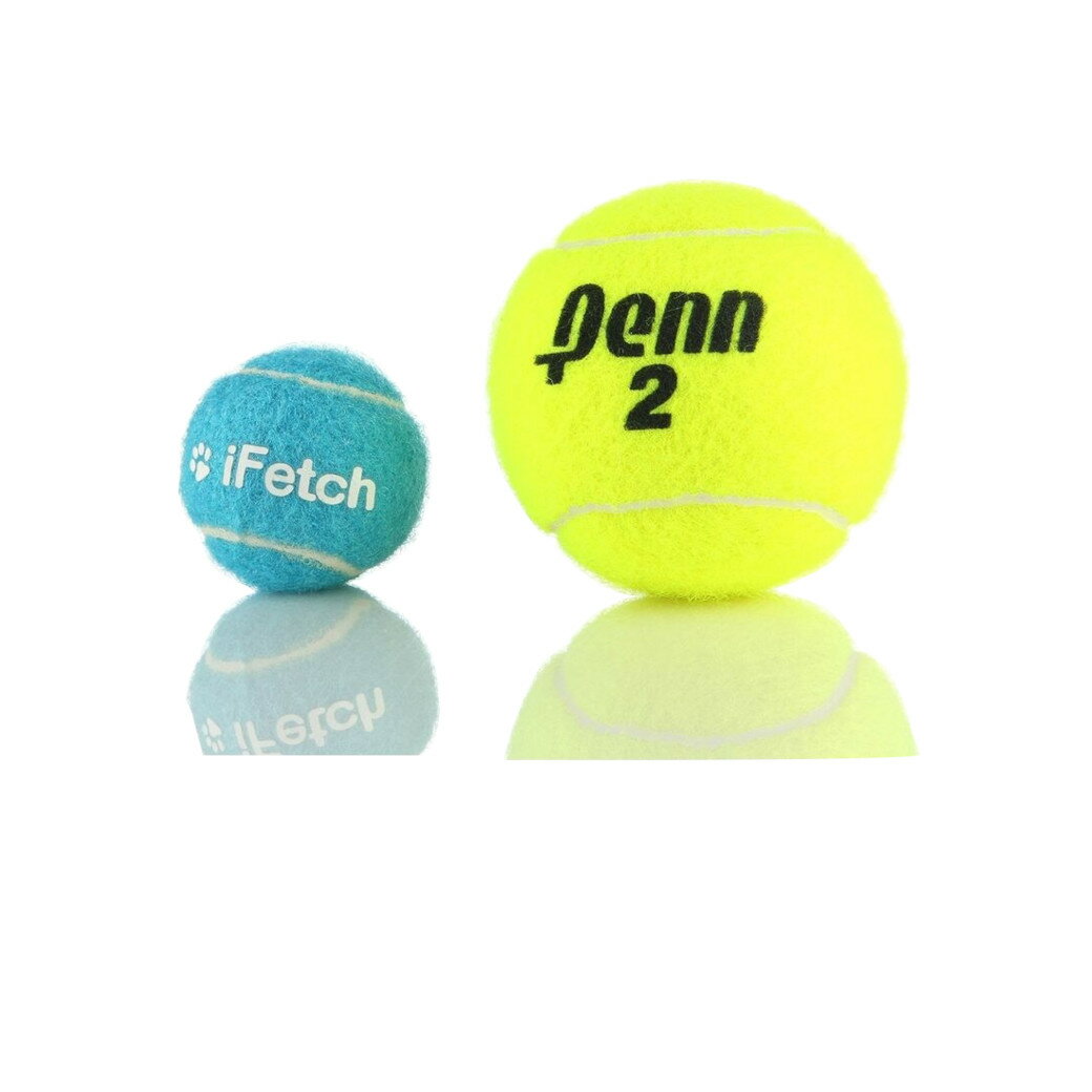 ���¹�͢���ʡ�iFetch Ball Launcher
