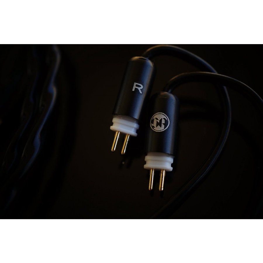 Song's Audio Night Stalker Westone CIEM