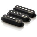 【並行輸入品】EMG SV Set アクティブ