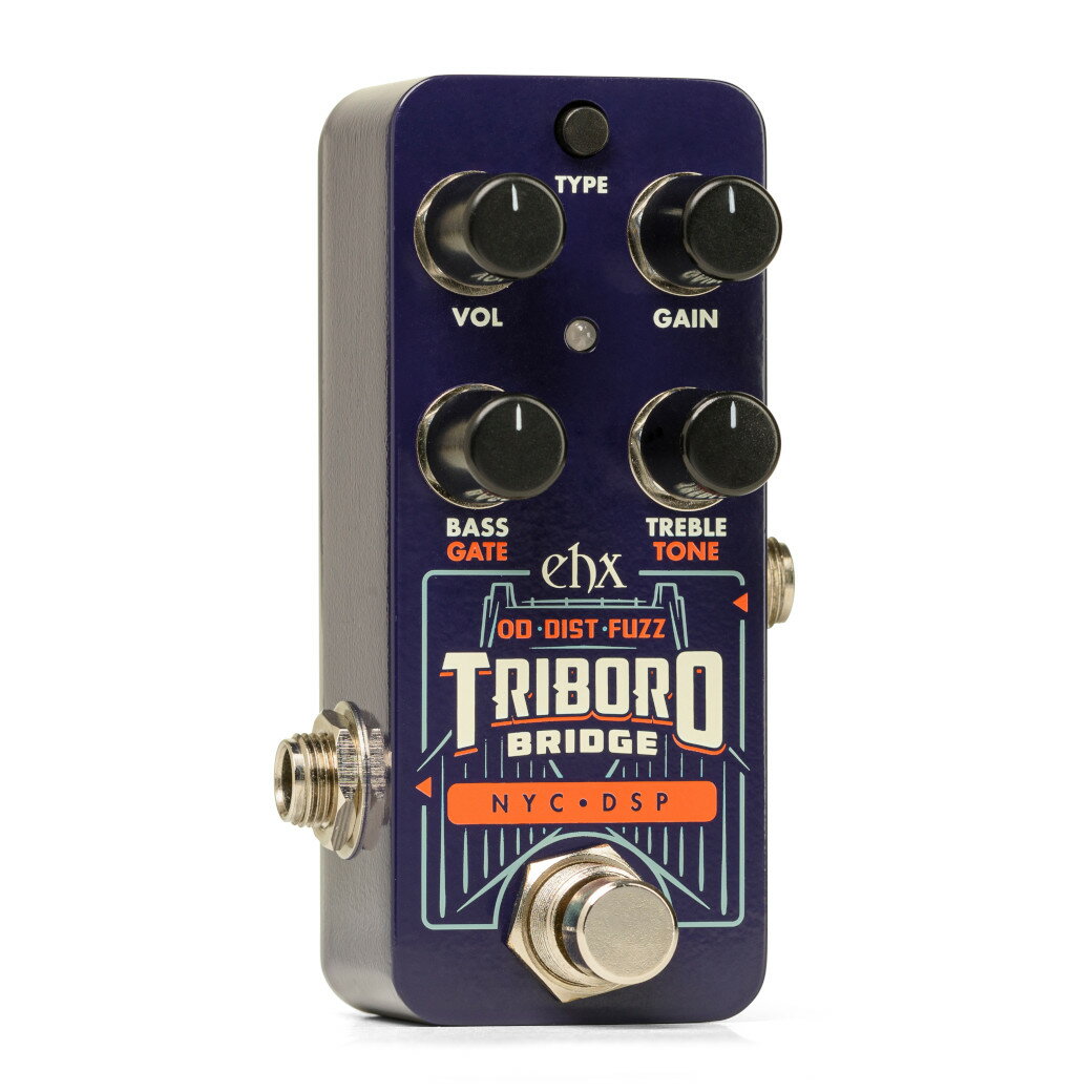 【並行輸入品】Electro Harmonix PICO TRIBORO BRIDGE