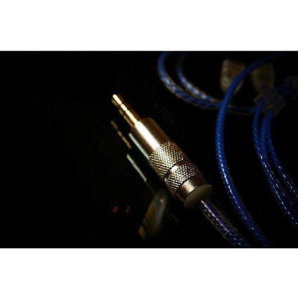 Sun Cable Neotech OCC Westone IEM全般