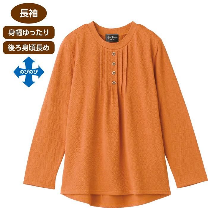 Tシャツ 長袖 レディース 後ろ長めTシャツ 821329 M L ケアファッション │ トップス ロンT 女性 婦人 ミセス シニア ファッション 春夏 オシャレ着 おしゃれ ストレッチ 身幅ゆったり ティーシャツ シンプル 介護 衣類 高齢者 お年寄り 老人 プレゼント 母の日 2024SS