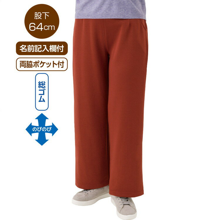 ボトムス レディース パンツ おしゃれ 柔らかハイテンションワイドパンツ （股下64cm） 821985 M L LL ケアファッション │ ズボン ずぼん ワイドパンツ ワイドシルエット ストレッチ 伸縮 女性 婦人 ミセス シニア ウエスト総ゴム プレンゼント 2025AW