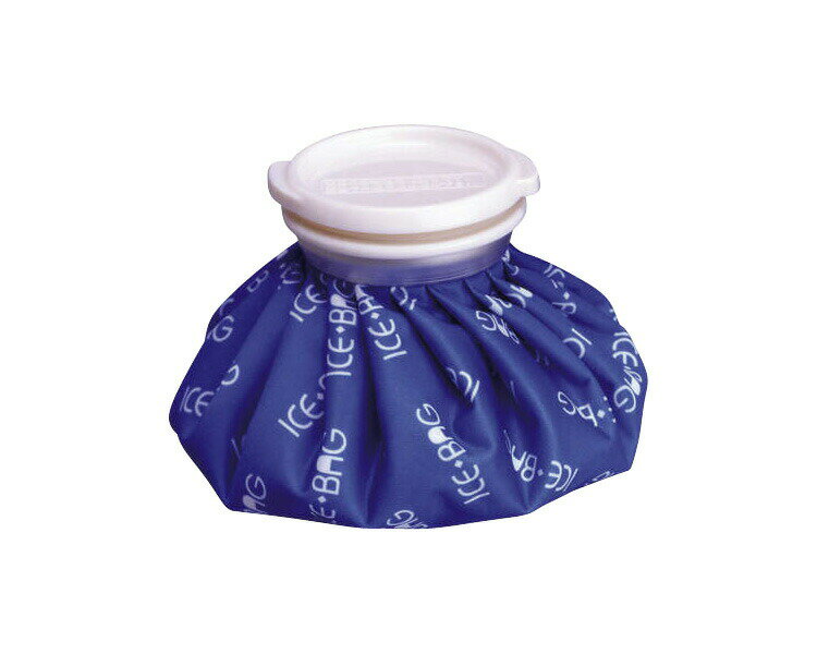 ハンディ氷のう 小 400cc F1210 富士パックス販売氷枕 氷嚢 氷まくら 熱中症対策 安眠 発熱 風邪対策 介護 子ども 介護用品のサムネイル