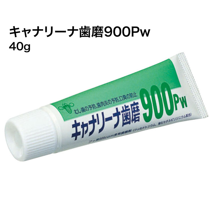 キャナリーナ歯磨900Pw 40g 20個セット ビーブランド・メディコーデンタル │ 口腔ケア 歯磨き オーラルケア 歯磨き粉 高齢者 介護用品 セット販売 まとめ買い