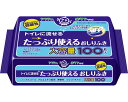 おしりふき アクティ トイレに流せるたっぷり使えるおしりふき 100枚入 80623 日本製紙クレシア │ お尻拭き ウエットティッシュ 大容量 ノンアルコール 介護 排泄ケア 高齢者 介護用品