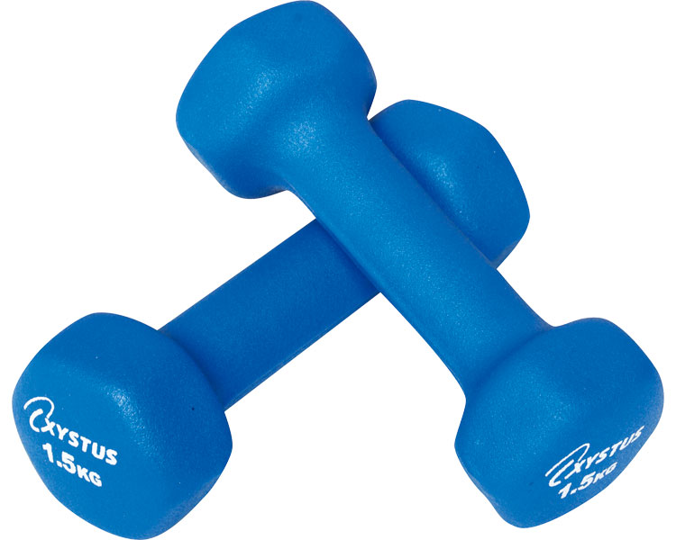TOEILIGHT ラバーコートダンベル1.5 H-9056 1.5kg×2個 トーエイライト │ 介護用品 レクリエーション ダンベル バーベル アレー 1....