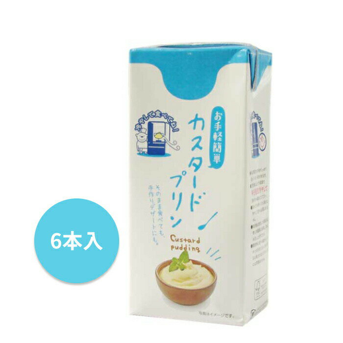 彣 ѥåǥ ɥץ 1050g 6 ӷ󻺶  ̵ ѥåǥ ɥץ 1050ml...