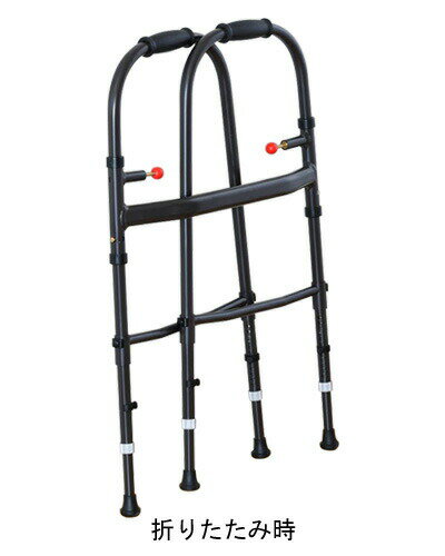 ��Դ� ��� Mg����������III�������եץ쥹���ڲ�����ʡۡ�RCP�� �����