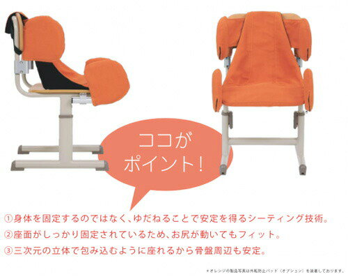 車いす用クッション 介護高齢 ZAFU ザフシステムスクール Sサイズ Lサイズ アシスト │ 身体環境づくり 体位保持 座位 クッション シーティング 車椅子用 車イス用 オプション高齢 介護用品 お年寄り 老人 シニア 在宅 病院 施設 デイサービス 老人ホーム pandoraplus-10008798 Pandora+ サンプル画像3