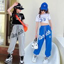 キッズダンス衣装 ヒップホップ HIPHOP セットアップ へそ出し トップス パンツ 子供 女の子 ガールズ チア ジャズダンス ステージ衣装 練習着 応援団 演出服