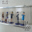 コレクションケース490 オーダー品 タテヨコ高さ合計951から1000mm