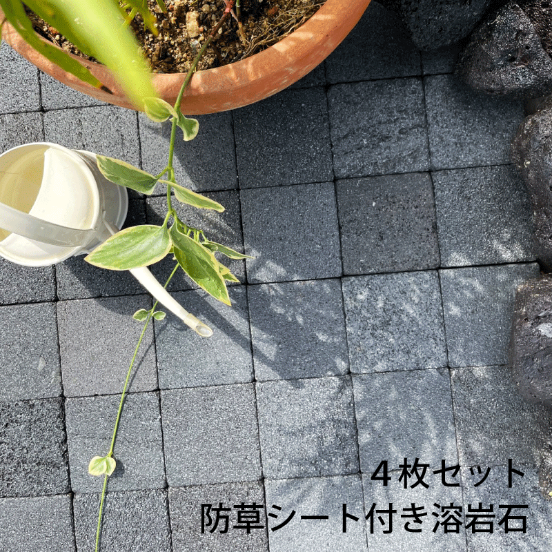 タイル 庭 防草マット 置くだけ diy 敷石 天然石 雑草対策 敷くだけ ガーデニング 除草マット 防草シート ピンコロ石 舗石 溶岩石 黒 石 踏み石 舗石 おしゃれ ガーデンタイル 害虫対策 雑草対策 アプローチ 石畳 庭手入れ 30cm角のサムネイル