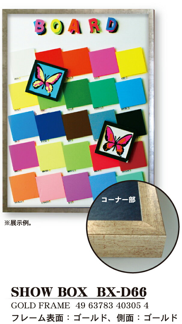 硼ܥå/SHOW BOX BX-D66/ 