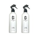 ポイント最大46倍 【CAR BEAUTY LAB】お車のホイールクリーナー 300mL×2本 ホイル エンジンルームのブレーキダストや汚れを落とし 美しさを保ちます カービューティラボ (カービューティーラボ)洗車 洗車グッズ 洗剤CB111