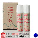 タッチアップペイント タッチペン【スズキ車用】フロンティアブルー(PM) カラー番号【WB1】20ml 上塗り下塗りセット 補修塗料