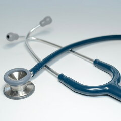 https://thumbnail.image.rakuten.co.jp/@0_mall/panesian/cabinet/littmann/imgrc0078575376.jpg