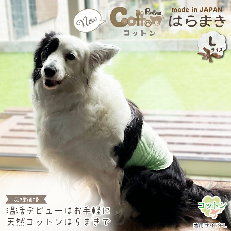 【日本製】Panfree® Cottonはらまき Lサイズ 犬用