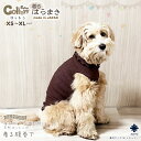犬用腹巻き Panfree Cotton着るはらまき XSサイズ Sサイズ Mサイズ Lサイズ XLサイズ 日本製 ドッグウェア ペットウェア 冷え防止 冷え症...