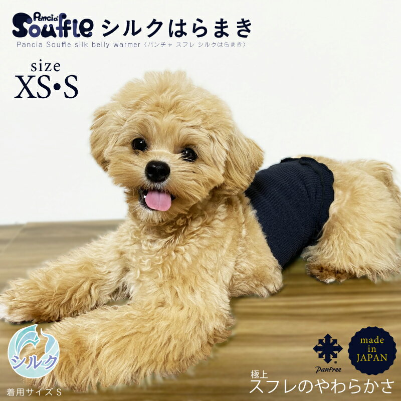 Pet Harness（ペットハーネス）リード付き S ライトブルー×チェック