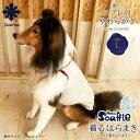 GELATO PIQUE CAT&DOG 【CAT&DOG】【販路限定商品】小花柄COOLプルオーバー ジェラートピケ ペット用品 ペットウェア・ペット服 イエロー ピンク【送料無料】