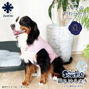 【日本製】Pancia reg Souffle 着るはらまき XLサイズ 犬用 ドッグウェア 冷え防止 シルク 犬服 ペット 中型犬 大型犬 犬 服 伸びる 男の子 女の子 犬の服 ドッグシャツ ペット服 ペット腹巻 ペットウェア