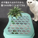 亀 カメ 脱出防止 フェンス 水槽カバー フタ 蓋 外敵から守る 防獣 防鳥 盆栽置き 送料無料 特大サイズ