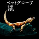 ペット グローブ 噛みつき 引っかき 犬 猫 セーフティグローブ 牛革 厚手 保護 手袋 爬虫類 園芸 耐摩耗性 耐熱性 ロング 肘 一双販売 送料無料