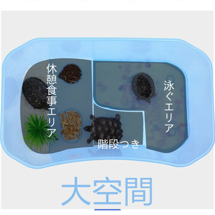 カメの水槽 楽園 飼育ケース 最大68 オフ 大空間 送料無料 亀 水槽 カメ ボックス タートルタンク 小 階段 スッポン ミドリガメ エサ皿 クサガメ 中 日向ぼっこ台 観察