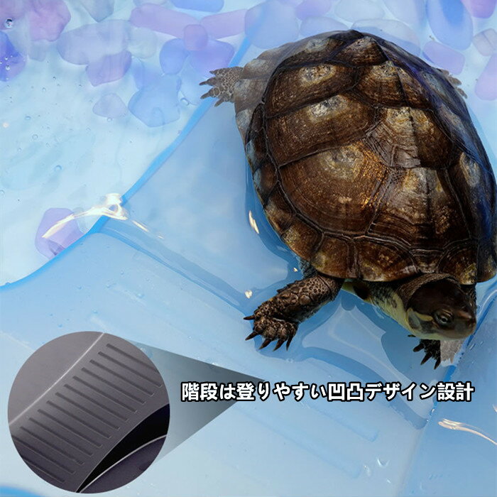 カメの水槽 楽園 飼育ケース 大空間 送料無料 亀 水槽 カメ ボックス タートルタンク サイズ大 観察 スッポン てなグッズや 階段 排水孔 日向ぼっこ台 ミドリガメ エサ皿 クサガメ カメの水槽 楽園 飼育ケース 大空間 送料無料 亀 水槽 カメ ボックス タートルタンク サイズ大 観察 スッポン てなグッズや 階段 排水孔 日向ぼっこ台 ミドリガメ エサ皿 クサガメ