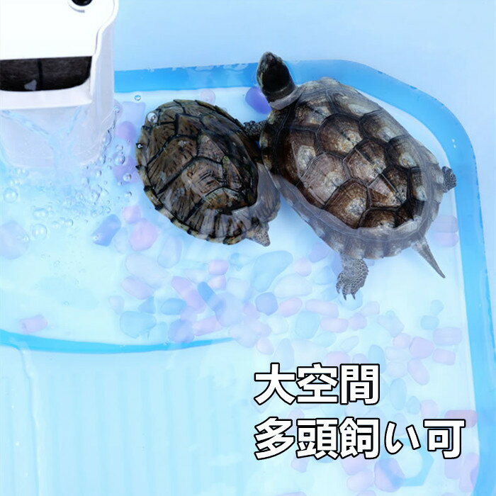 カメの水槽 楽園 飼育ケース 最大68 オフ 大空間 送料無料 亀 水槽 カメ ボックス タートルタンク 小 階段 スッポン ミドリガメ エサ皿 クサガメ 中 日向ぼっこ台 観察