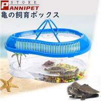 楽天市場 亀 カメ 水槽 タートルタンク カメ生息地 爬虫類 飼育ケース ザリガニ 水槽 飼育ケース 観察 送料無料 Panni 楽天市場 亀 カメ 水槽 タートルタンク カメ生息地 爬虫類 飼育ケース ザリガニ 水槽 飼育ケース 観察 送料無料 Panni