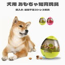 Panni 犬用 おもちゃ ペット 餌入れ知育玩具 おやつボール だるま エッグ 知育玩具 IQステップボール 運動不足ストレス解消