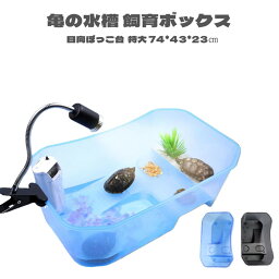 【送料無料】 亀の水槽 カメ 水槽 飼育ケース 大きい ボックス タートルタンク 日向ぼっこ台 ミドリガメ クサガメ スッポン 観察 排水孔 階段 一体型 大きいサイズ 甲羅15cmまで対応 専用フタつき