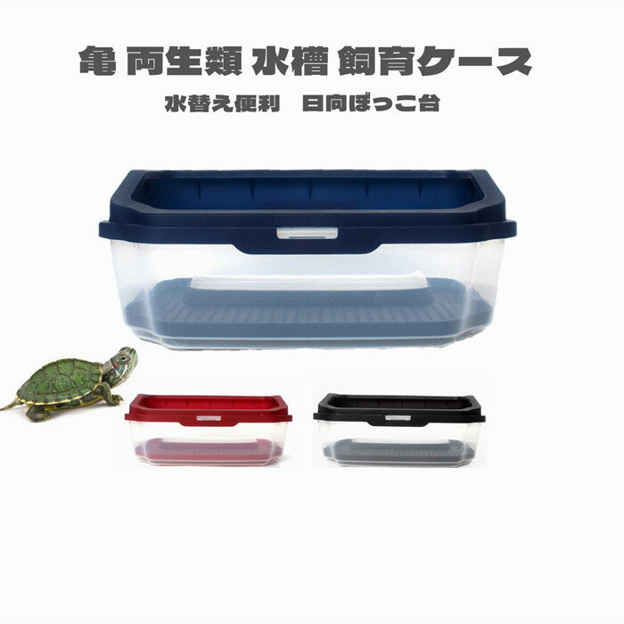 カメの水槽 楽園 飼育ケース 大空間 送料無料 亀 水槽 ケース カメ ボックス タートルタンク スッポン ザリガニ 分離式 配線穴付き 45cm ミドリガメ 日向ぼっこ台 観察 エサ皿 クサガメ お手入れ簡単 3年保証
