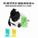 犬 歯ブラシ 噛む おもちゃ ゴム製 歯垢 歯石 口臭対策 吸盤式 サボテン 口腔ケア ストレス解消