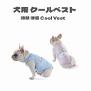 桜柄着物　【M/L/DS/DM】　crazyboo　着物　クレイジーブー　正月　桜　きもの　犬用　犬服　犬用品　CRAZYBOO