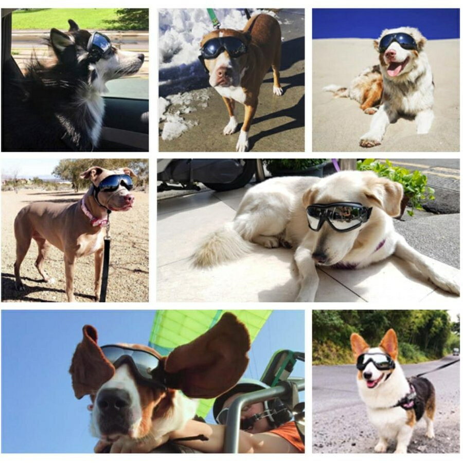 ワンちゃんの目を紫外線から守る 犬サングラス 犬用 サングラス 犬用ゴーグル メガネ めがね ドライブ用 夏用 眼鏡 大型犬 おしゃれ カッコイイ クール 写真用 送料無料 かっこいい 中型犬 超特価sale開催 ゴム ワンちゃんの目を紫外線から守る 犬サングラス 犬用 サングラス 犬用ゴーグル メガネ めがね ドライブ用 夏用 眼鏡 大型犬 おしゃれ カッコイイ クール 写真用 送料無料 かっこいい 中型犬 超特価sale開催 ゴム