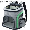 ペット キャリーバッグ リュック 犬 猫 メッシュ 軽量 通気性 お出かけ 通院用 折りたたみ式 移動 帰省 Lサイズ