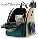 楽天panniペット キャリーバッグ 猫 犬 リュック 透明窓 宇宙船 カプセル マット付き ペット手提げ鞄 7kgまで対応 通院 旅行 お出かけ 便利