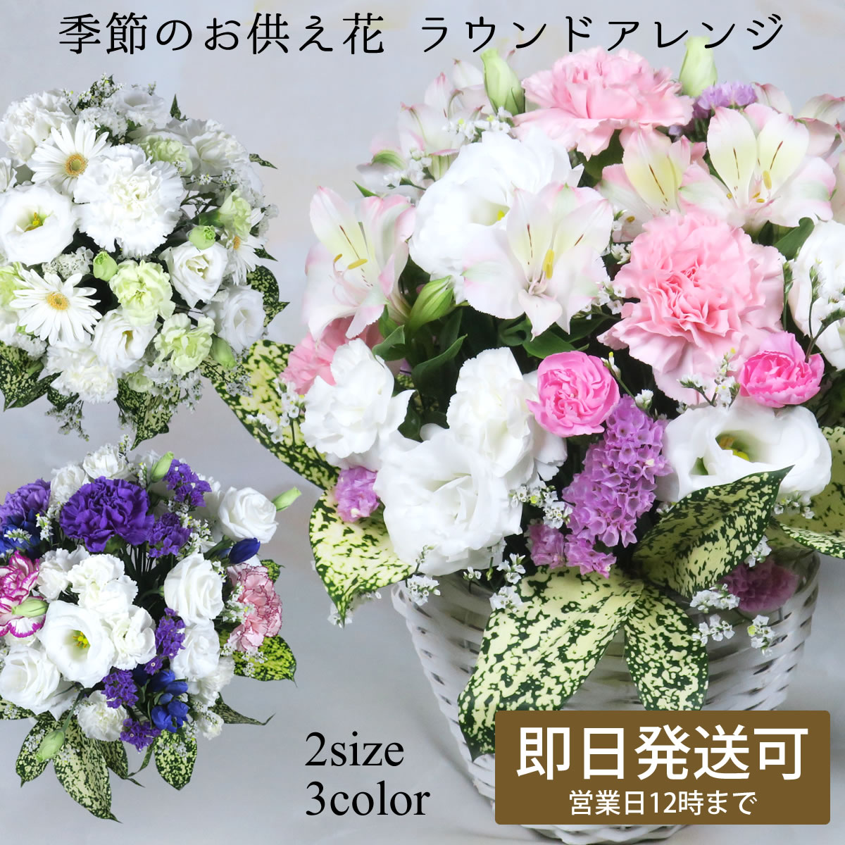 お供え お悔やみ 花 『季節のお供え花 ラウンドアレンジ』 Mサイズ Lサイズ 送料無料 お供え お悔み 花 アレンジ 御供 供花 御仏前 仏壇 仏壇用 故人 命日 彼岸 お盆 四十九日 49日 一周忌 1周忌 三回忌 3回忌 生花 アレンジメント /OGP