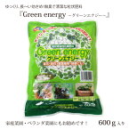 『Green energy グリーンエナジー』600g 1袋入り 粒状緩効性化成肥料 Green energy 花の肥料 草花 鉢花 観葉植物 野菜 盆栽 洋ラン 園芸植物 肥料 化成肥料 粒状 緩効性 効果 長持ち 家庭菜園 ベランダ菜園 ガーデニング 室内 ベランダ 庭 園芸 肥料 ゆうパケット /EGP