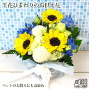 お供え お悔やみ 花 季節限定『 ひまわりのお供えアレンジ 』 ひまわり ヒマワリ 向日葵 生花 お供え お悔やみ 花 アレンジメント 送料無料 生花 切花 故...